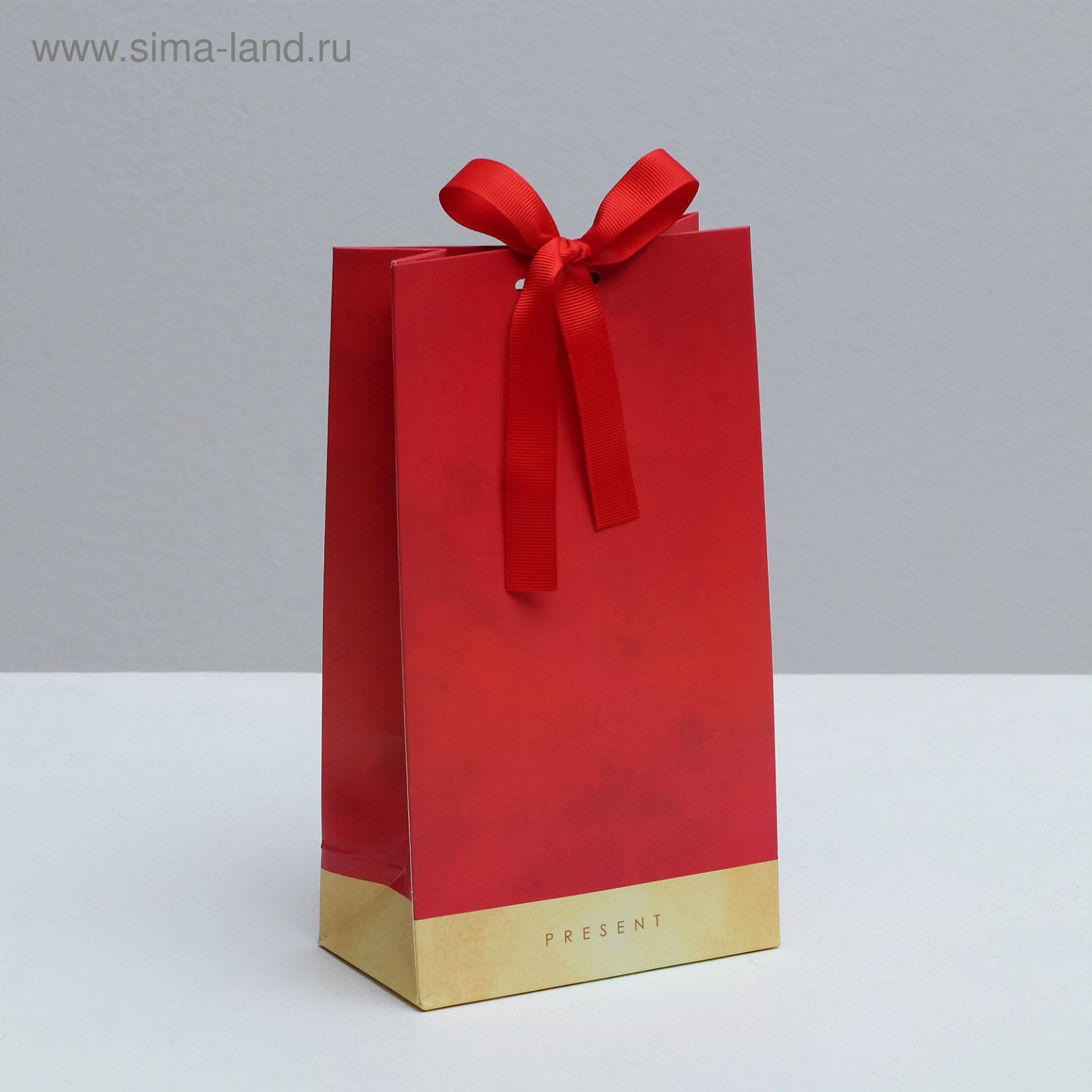 Пакет подарочный с лентой PRESENT, 13 × 23 × 7 см