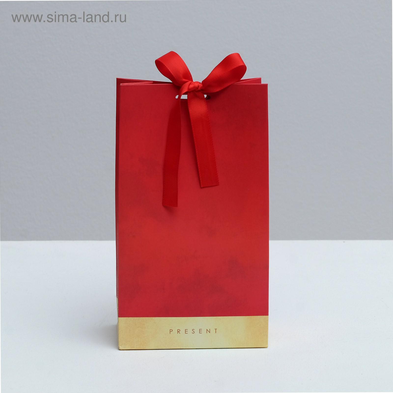 Пакет подарочный с лентой PRESENT, 13 × 23 × 7 см
