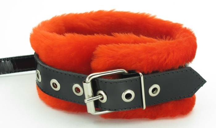 	Красный меховой ошейник BDSM LIGHT с ремешками и поводком из лакированной кожи