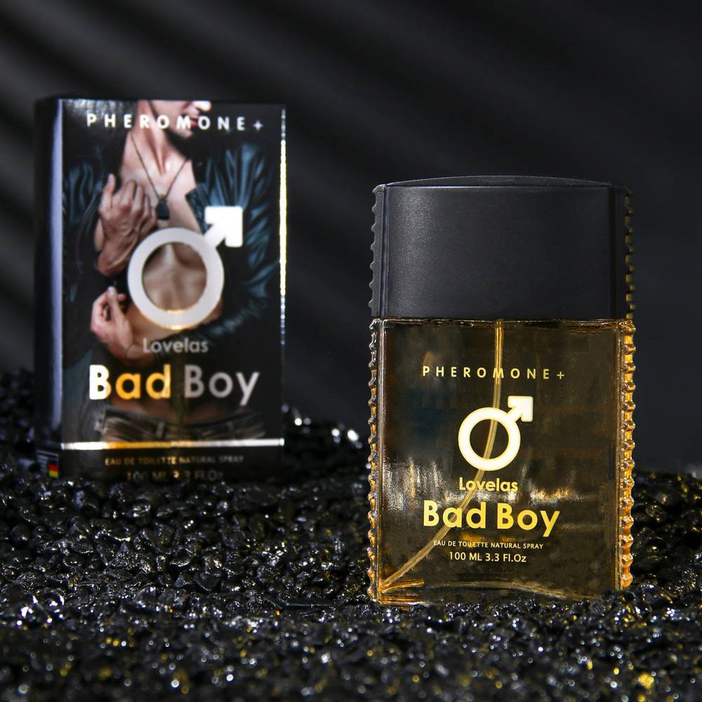 Туалетная вода мужская с феромонами LOVELAS BAD BOY аромат Egoiste Platinum (Chanel), 100 мл