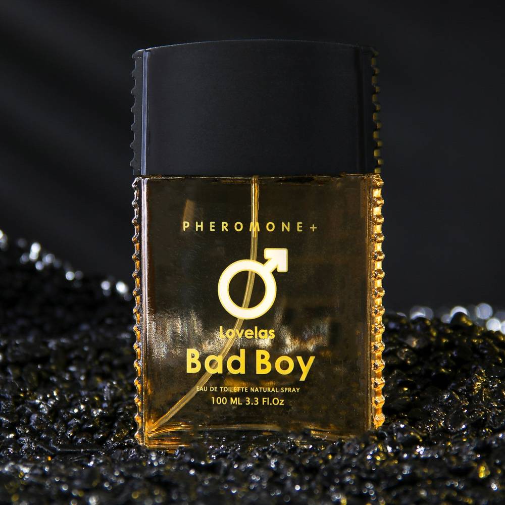 Туалетная вода мужская с феромонами LOVELAS BAD BOY аромат Egoiste Platinum (Chanel), 100 мл