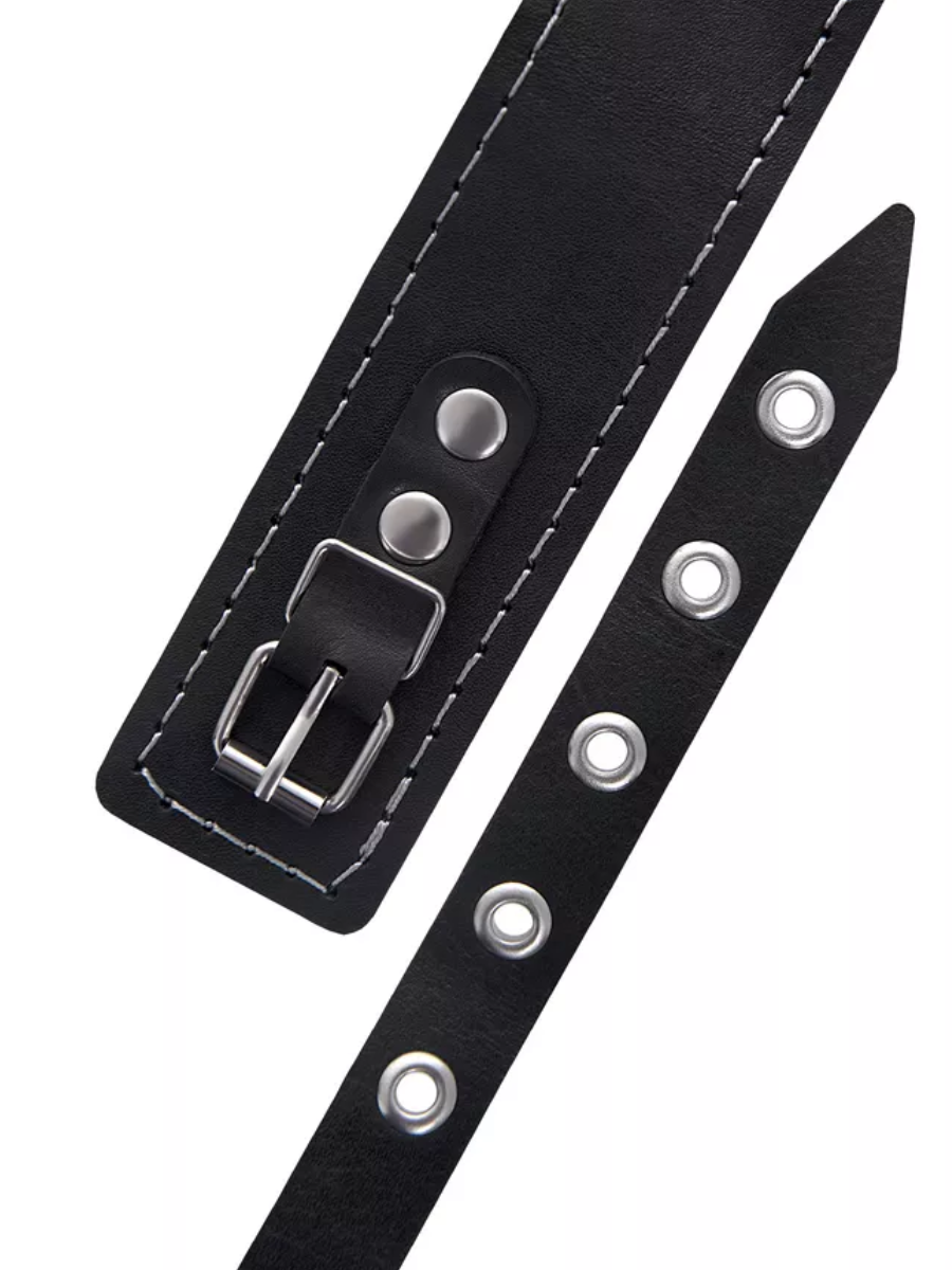 Ошейник с поводком, пряжкой, натуральная кожа; металл, черный, ширина 4 см, длина поводка 80 см