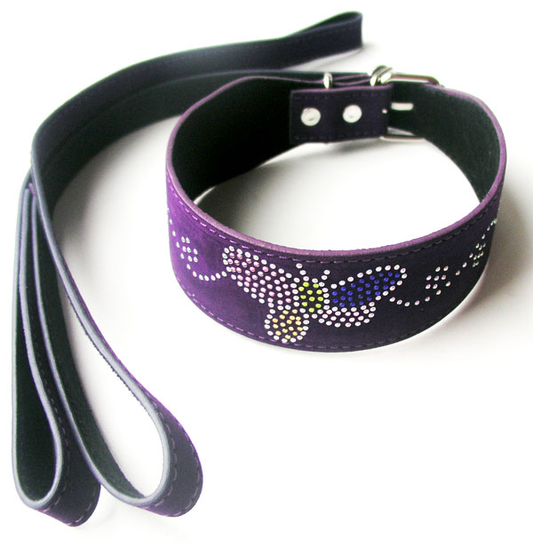 АКЦИЯ! Ошейник с поводком,  фиолетовый с рисунком